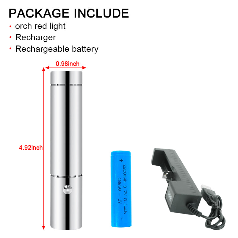 Portable Hand Held Lamp
