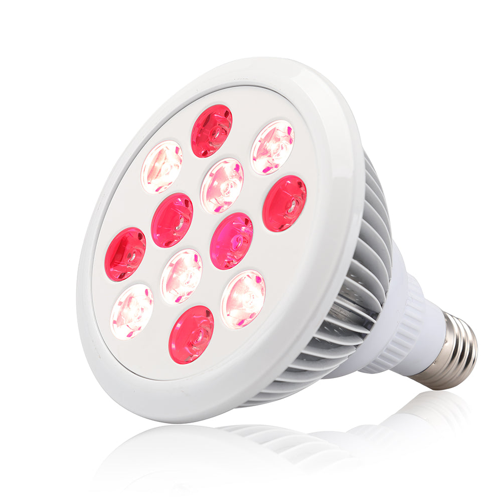 Portable Infrared Red Led Therapy Light