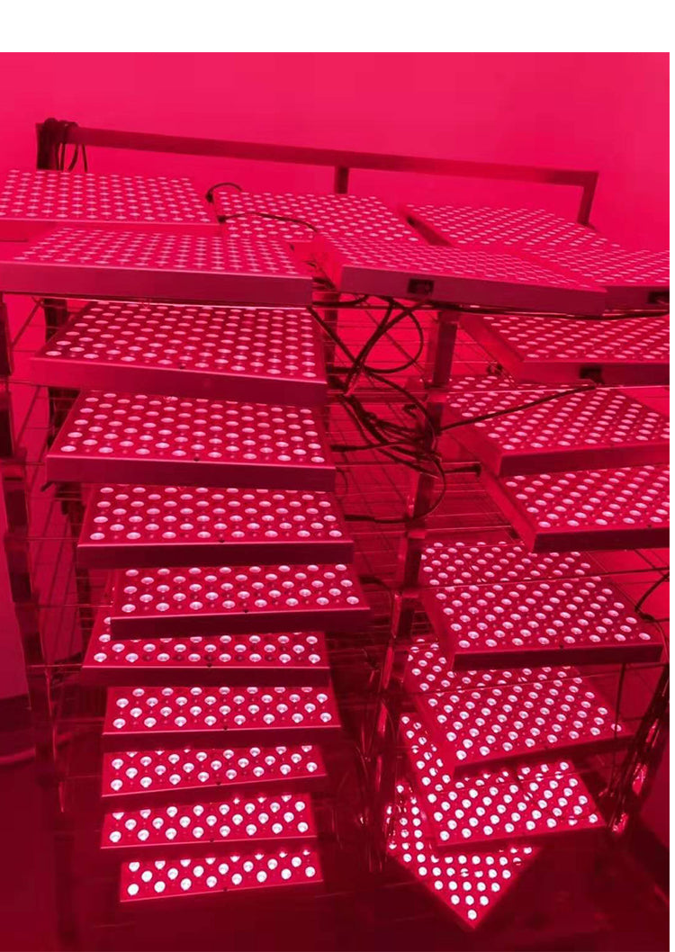 Full Red Panel Light With Red Light