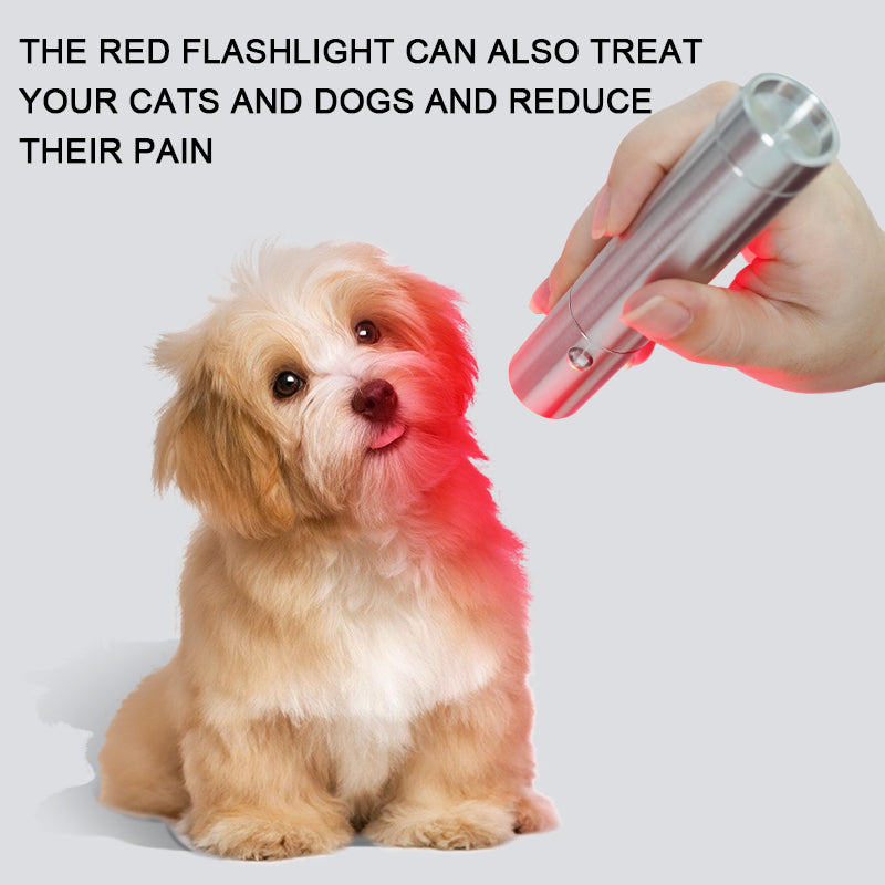 Portable Hand Held Lamp